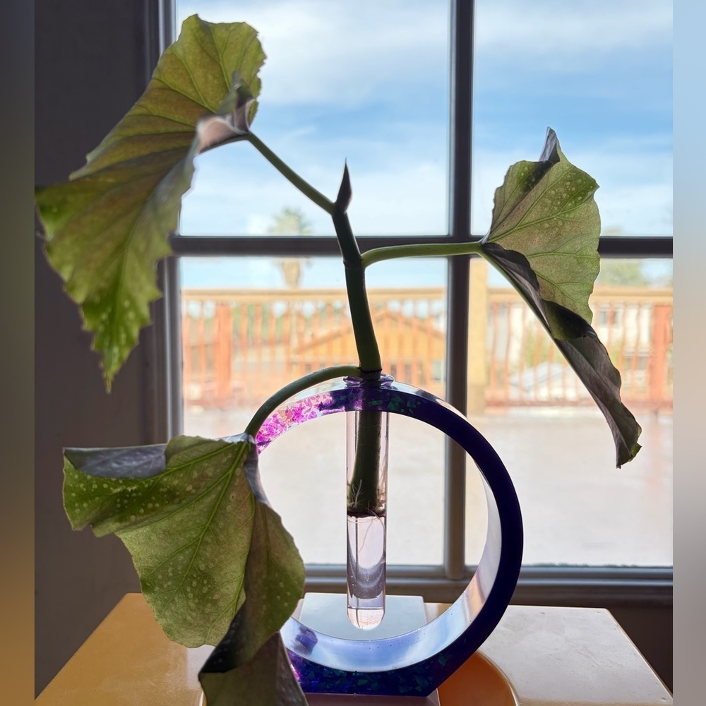 Plant Propogator Circular Plant Holder w/Tube | OS